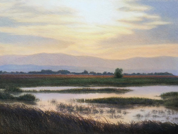 "Sacramento National Wildlife Refuge" by Rachel Oehler