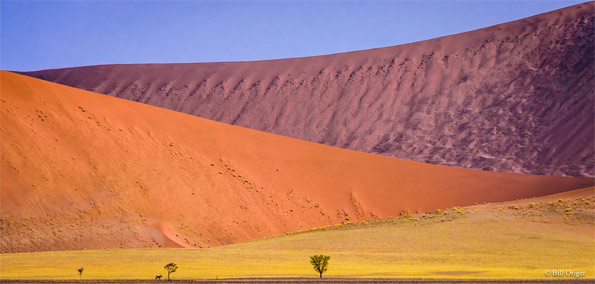 "Dunes, Soussuvlei, Namibia" by Bill Origer